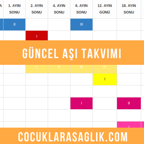 Aşı Takvimi Bebek Ve Çocuklar İçin Güncel Bilgiler